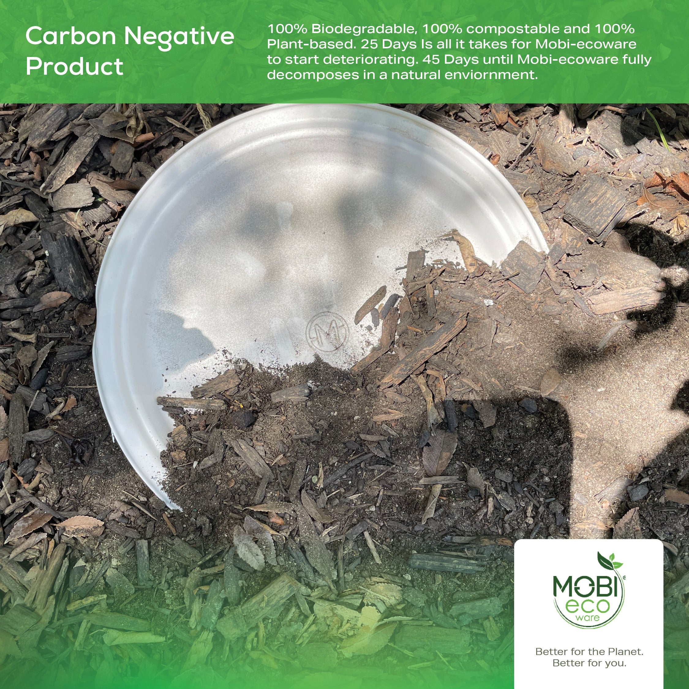 MOBI Ecoware 10" Biodegradable Bagasse Heavy-Duty Disposable Dinner Plates (500-Pack)