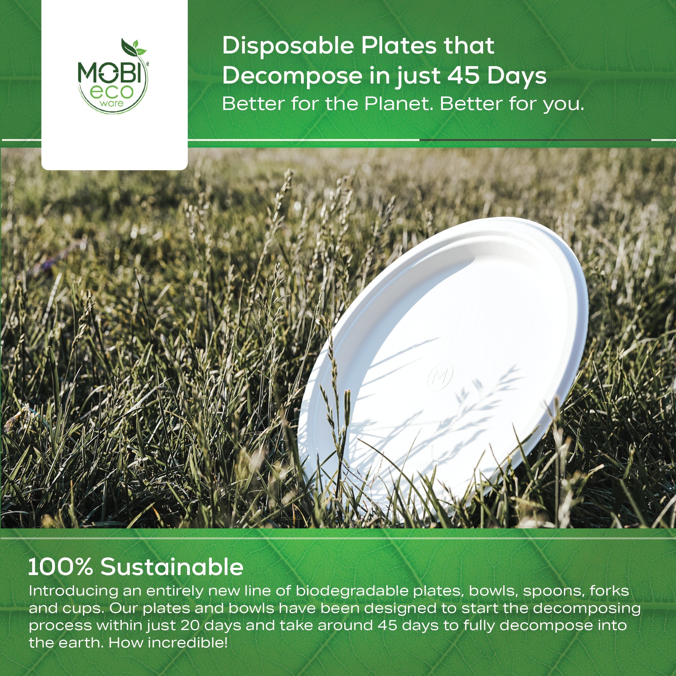 MOBI Ecoware 10" Biodegradable Bagasse Heavy-Duty Disposable Dinner Plates (25-Pack)