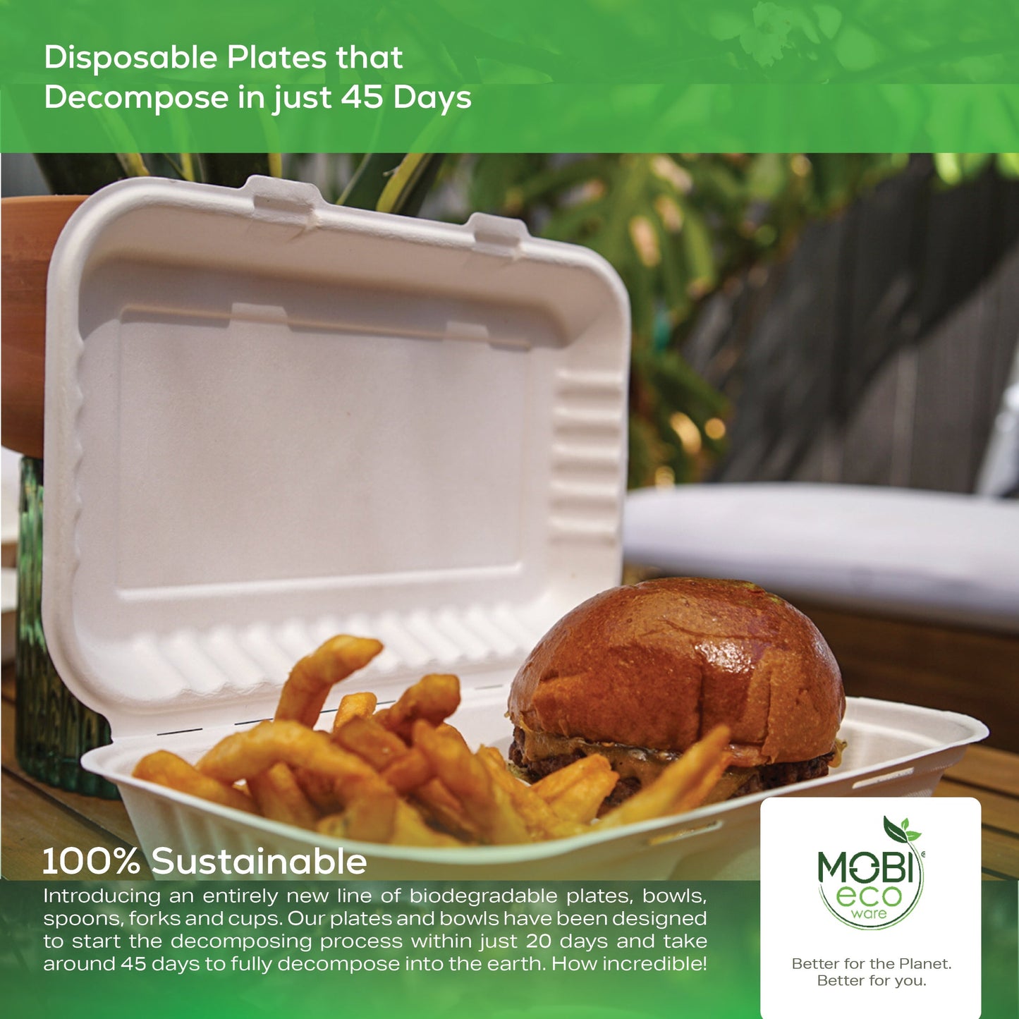 100% Compostable Plates, 10 inch Biodegradable Disposable Paper Plates Bulk for Birthday, Outdoor, Party, Camping, BBQ Eco Friendly 10" Plates by MOBI Ecoware, 125-pack