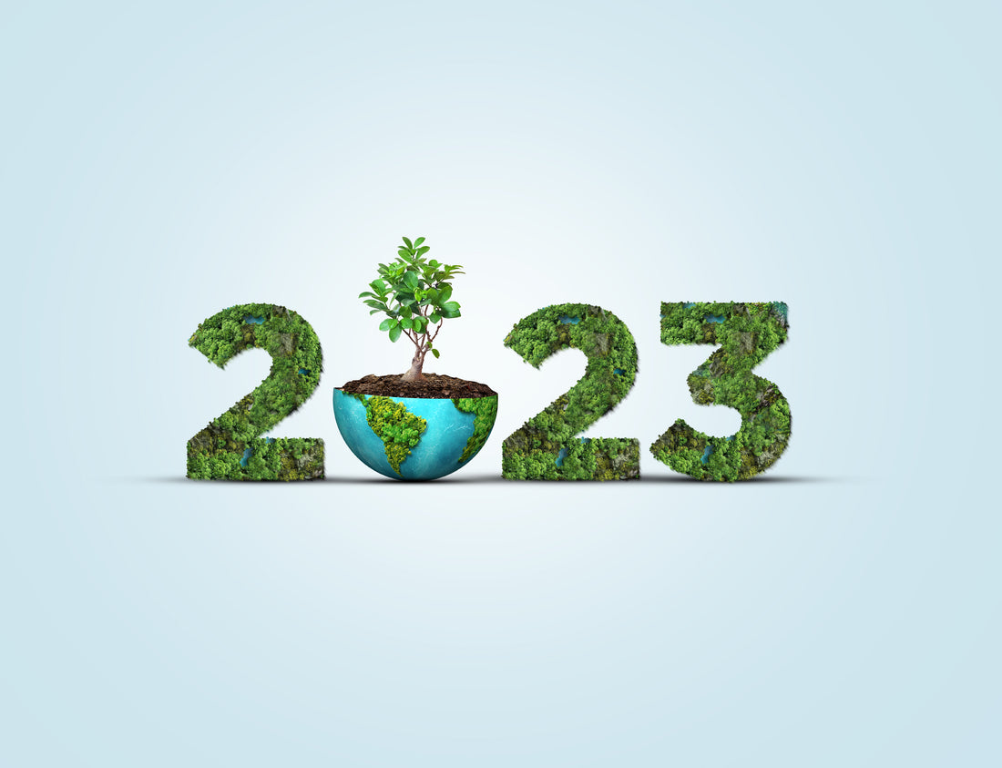 3 Sustainability Practices for 2023