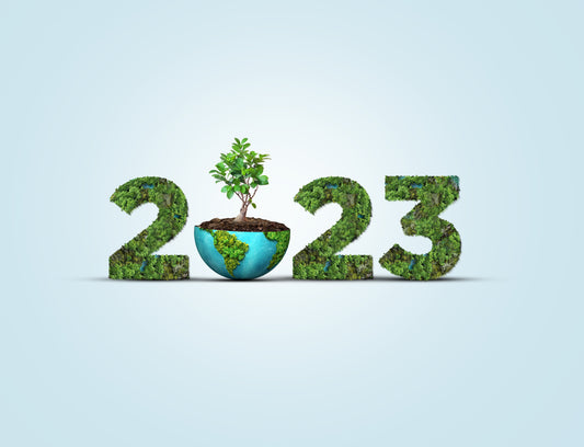 3 Sustainability Practices for 2023
