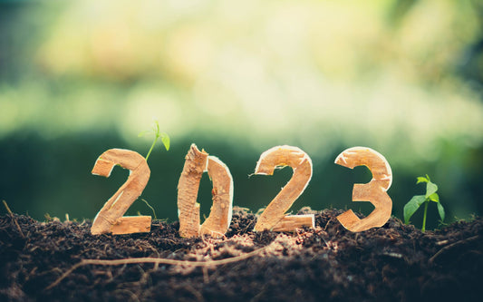 Easy Green Resolutions to Make in 2023