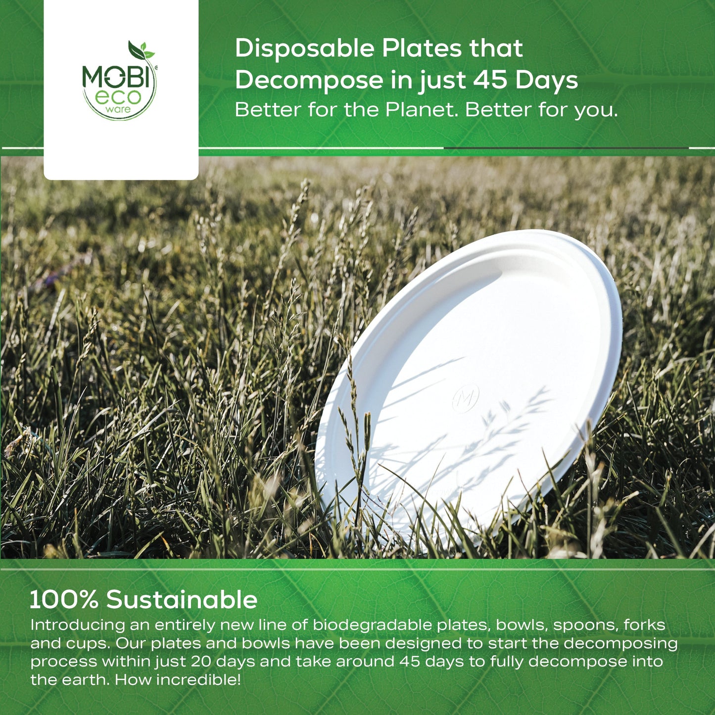 100% Compostable Plates, 10 inch Biodegradable Disposable Paper Plates Bulk for Birthday, Outdoor, Party, Camping, BBQ Eco Friendly 10" Plates by MOBI Ecoware, 125-pack