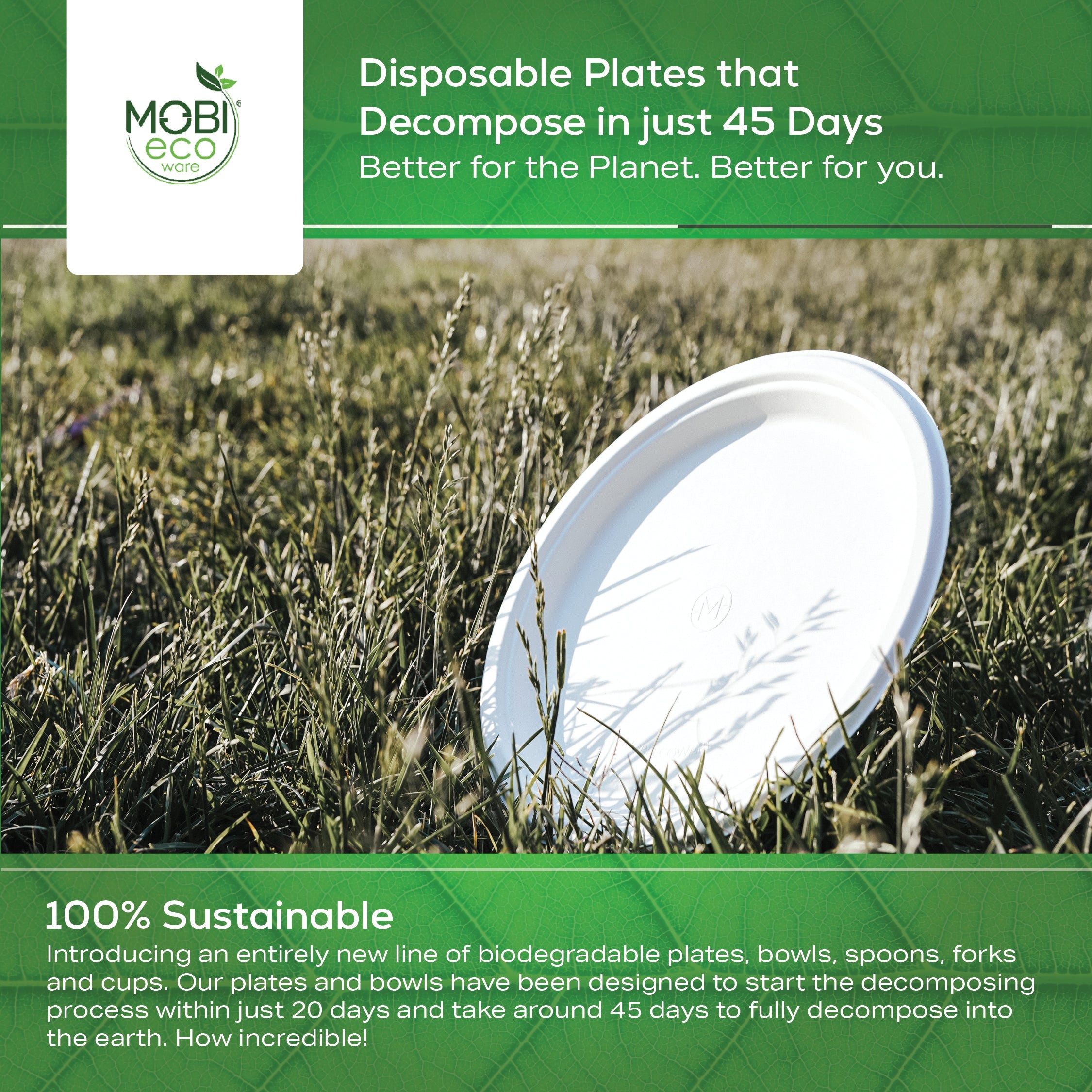 MOBI Ecoware 10" Biodegradable Bagasse Heavy-Duty Disposable Dinner Plates (125-Pack)